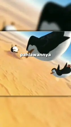 trend pinguin 