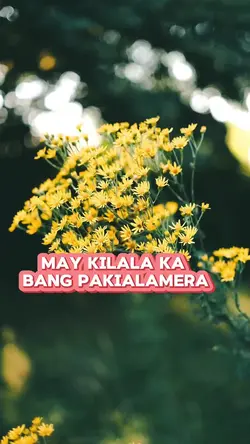 pakialamera
