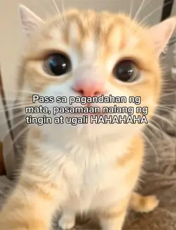 Meme 