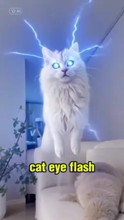 AI FLASH