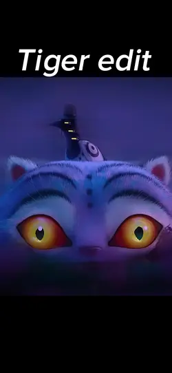 My face tiger