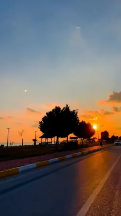 Vlog