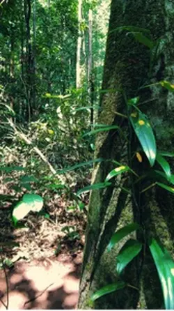 Trekking ngầu