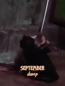 september dump