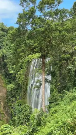 Papadudut 