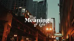 The meaning of life 