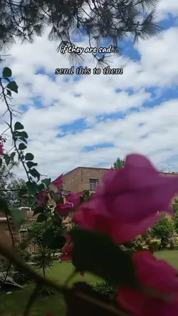 vlog