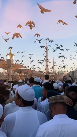 Labbaikallah