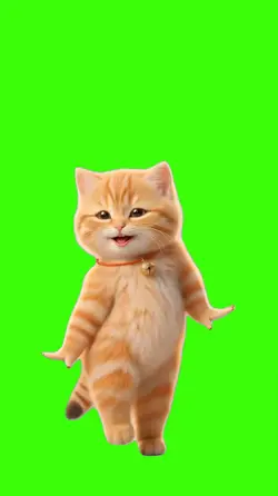 Cat/Gato.