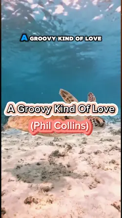 AGroovy Kind Of Love