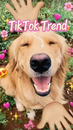 Cute Puppy Love