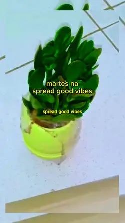 motivational 401 