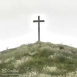Love God