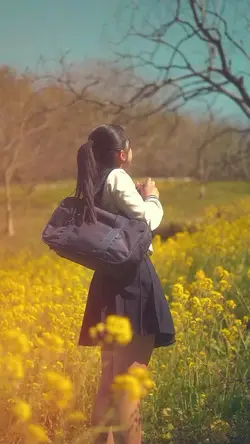 Korea vibes 