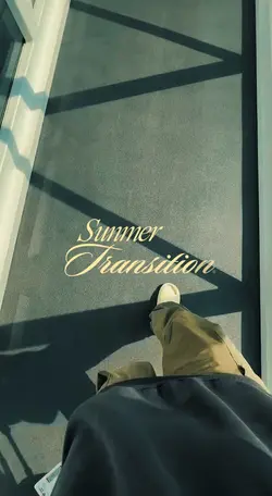 TRANSITION SUMMER