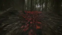 run