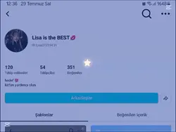 mesinee