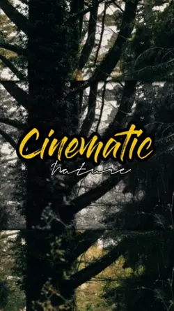 cinematic nature