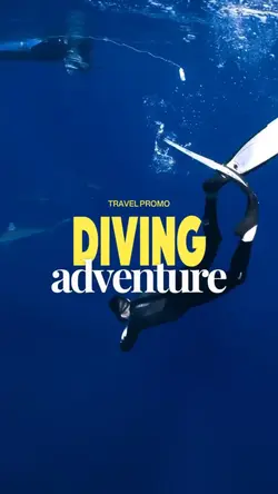 Travel Promo