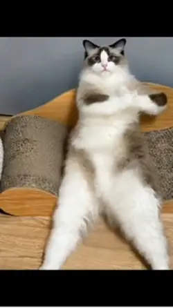 ai dancing