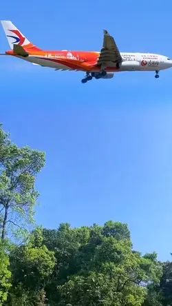 Plane