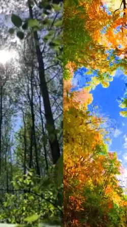 welcome autumn 