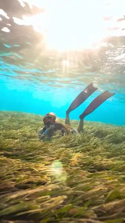 snorkeling