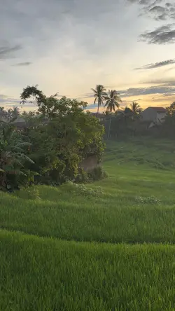 Pagi Hari 1 video