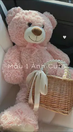 Mẫu 1 Ảnh Cute
