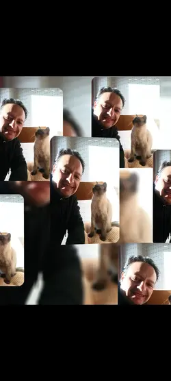 gatto milky