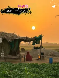 میثم کھوکھر پوئٹری 