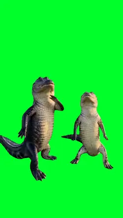 Crocodiles dancing