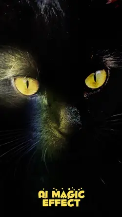 Ai🐭🐱Magic✨CAT