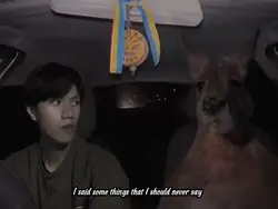 Kangaroo in car ride