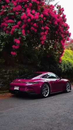 Porsche🩷