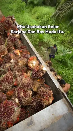 tren anak perkebunan