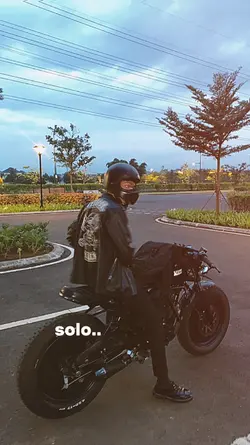 trend solo or skuad 