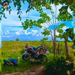 ប្រុសល្ងង់
