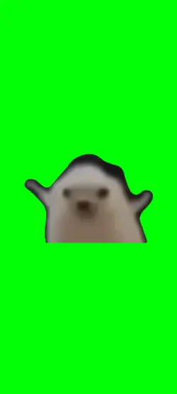 jeżyk