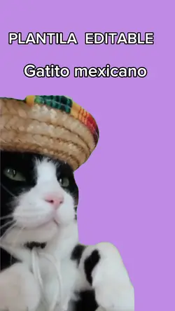 Gatito mexicano 