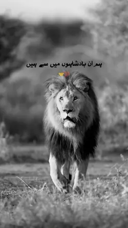 Badshah