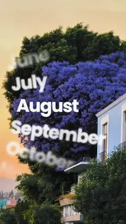August dump