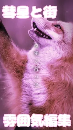 彗星と街/📷.3枚