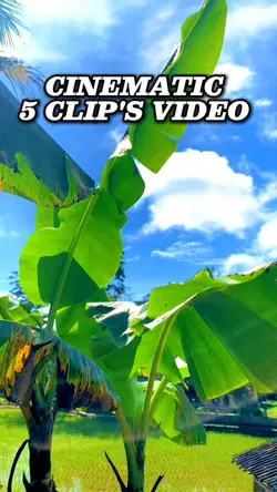 5 Video Cinematic 