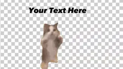 dancing cat meme 