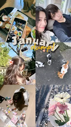 january dump