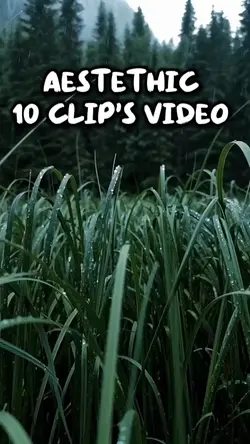 10 video Aesthetic 