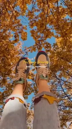 falling leaves