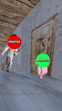 The chicken ran away