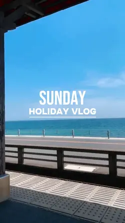 vlog 7